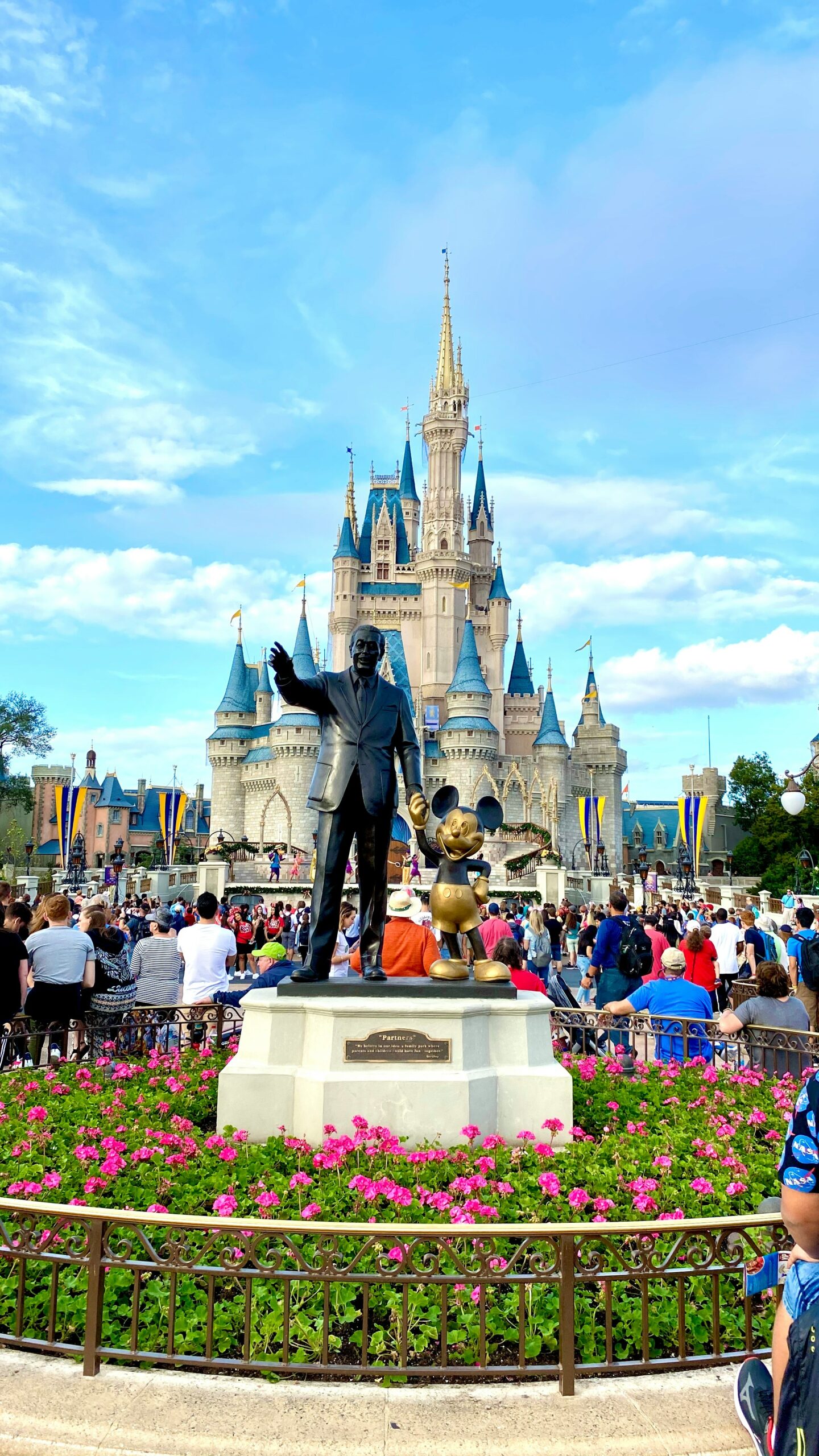 Disney World with toddler